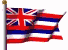 bandeira-hawaii